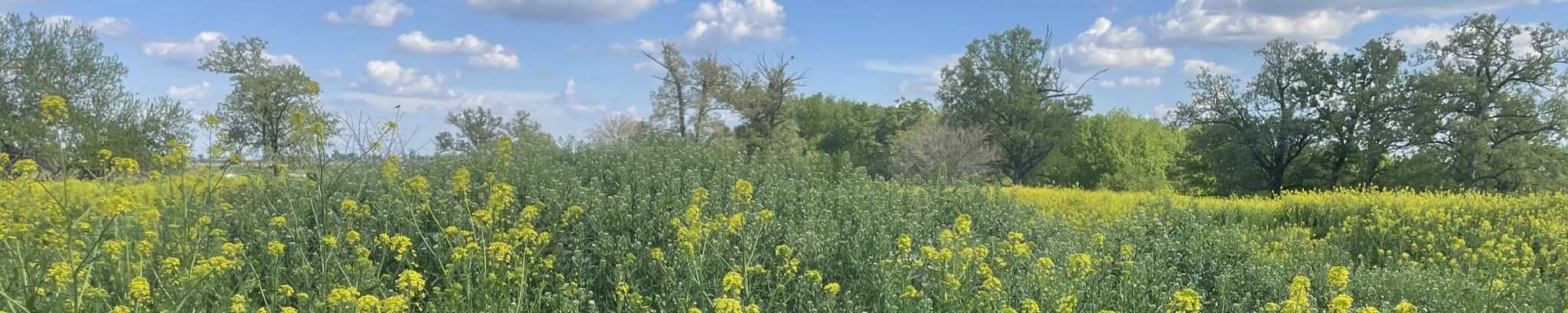 Cover for Howard Hartsock's Obituary
