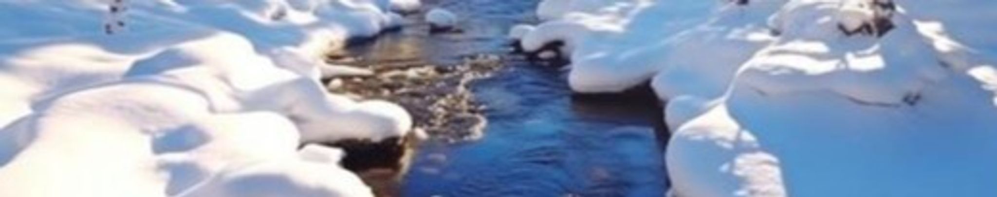 Cover for Albert Sidell's Obituary