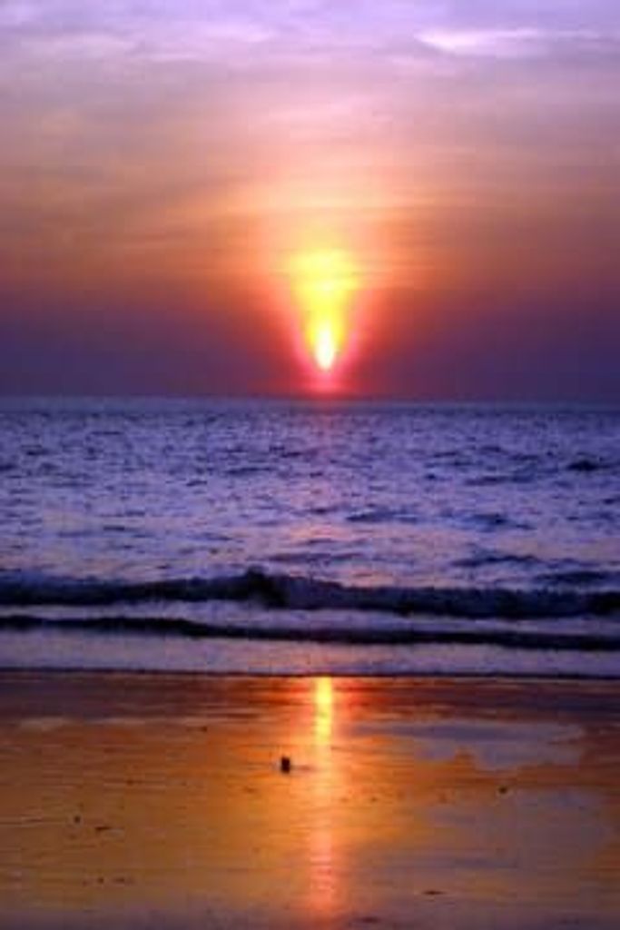 Walter Alexander Profile Photo