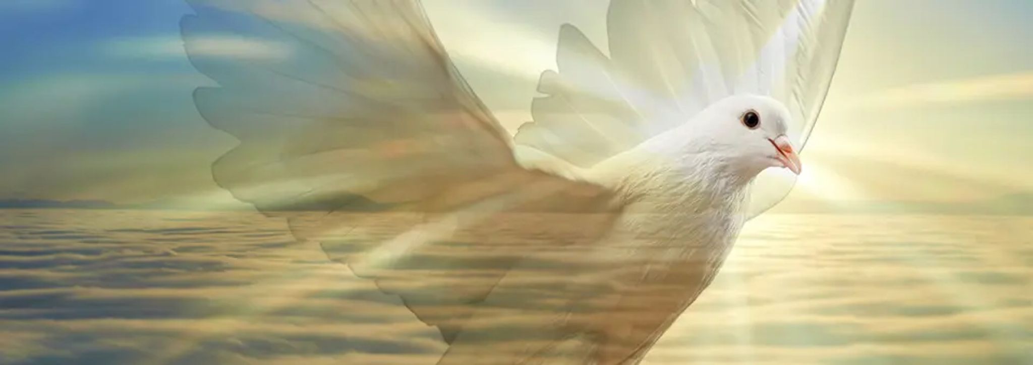 Cover for Godfrey Oghissa's Obituary