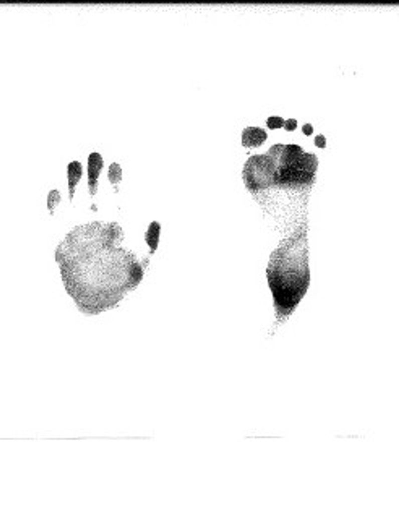 Joshua Ian Cook