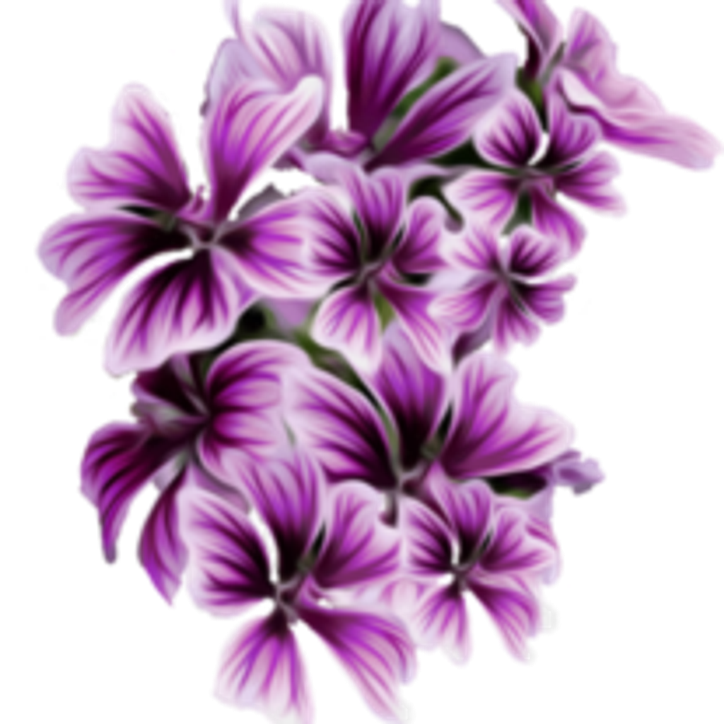 Pauline "Polly" Deloach