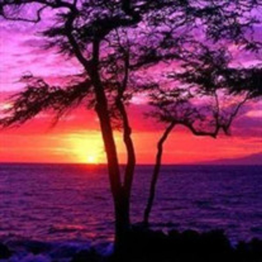 Kathy Lynn Krebs Profile Photo