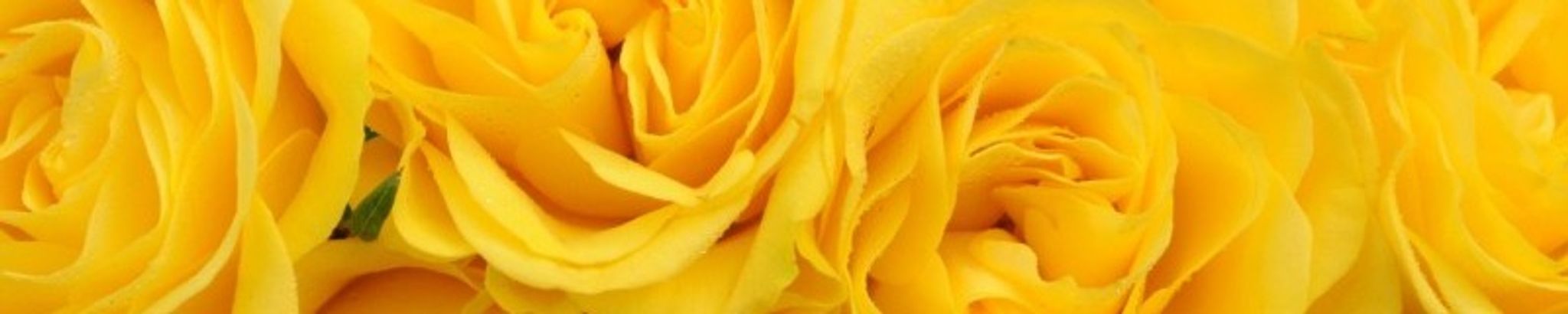 Cover photo for Bernice Melancon Hebert's Obituary
