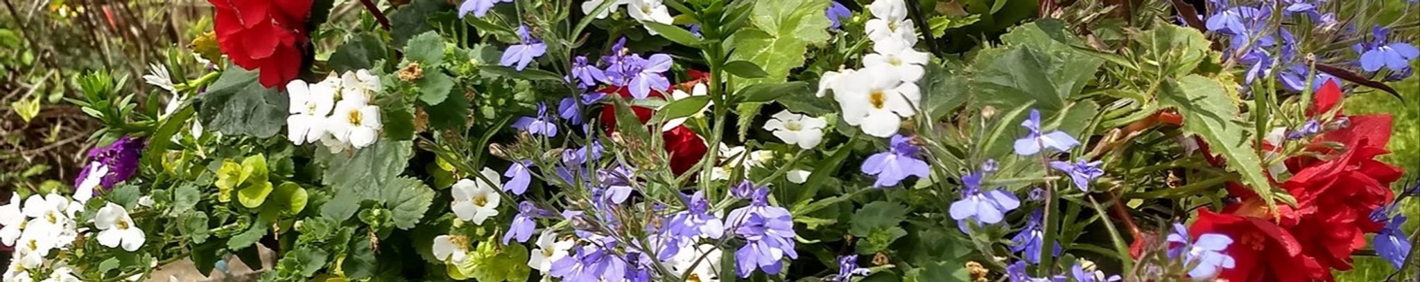 Cover photo for Steven Goldston's Obituary