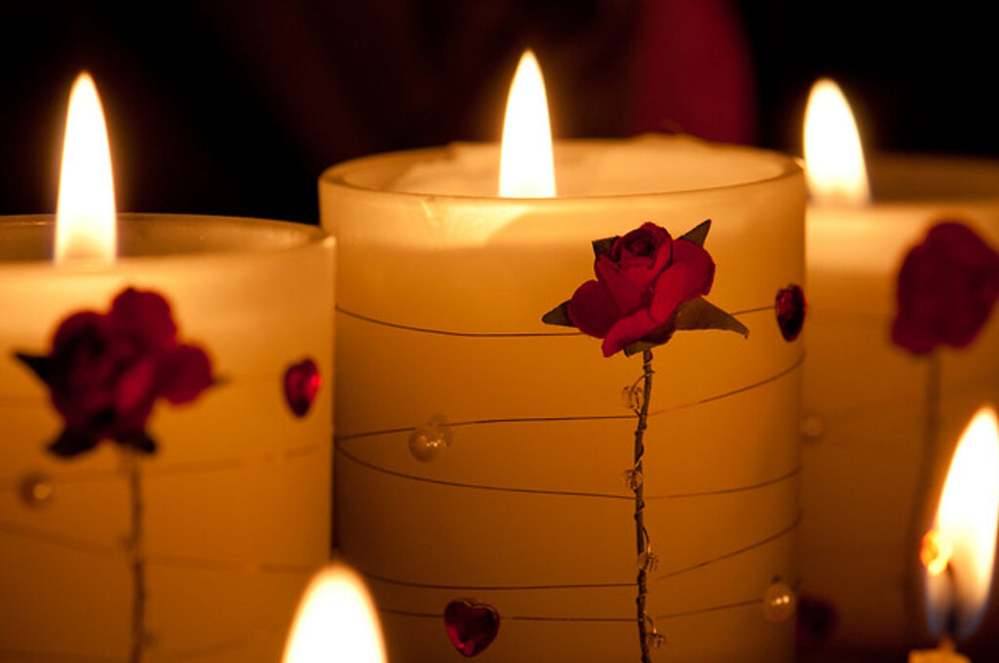 Cover photo for Lesli Ann Tulk's Obituary