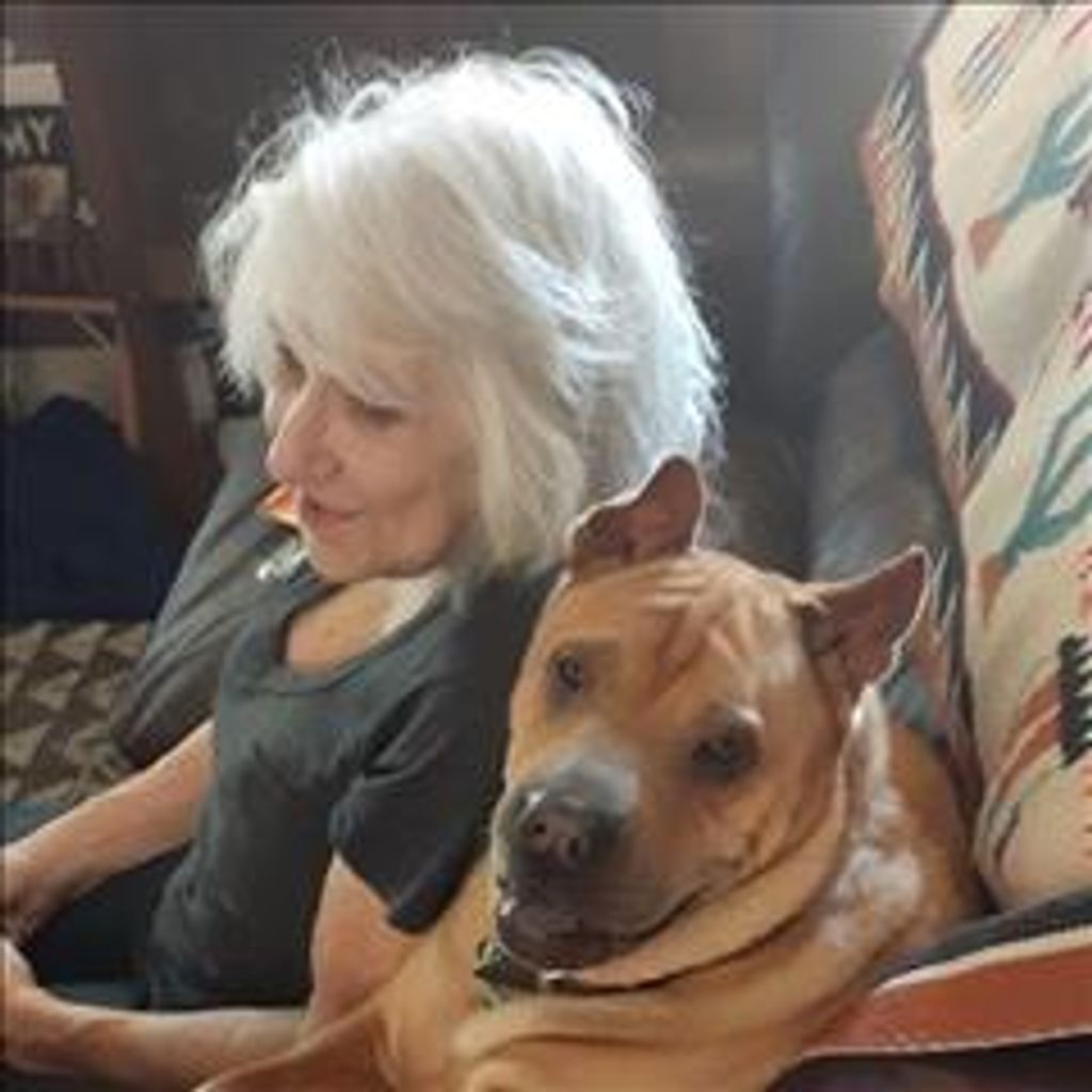 Mary Anne Dye Profile Photo