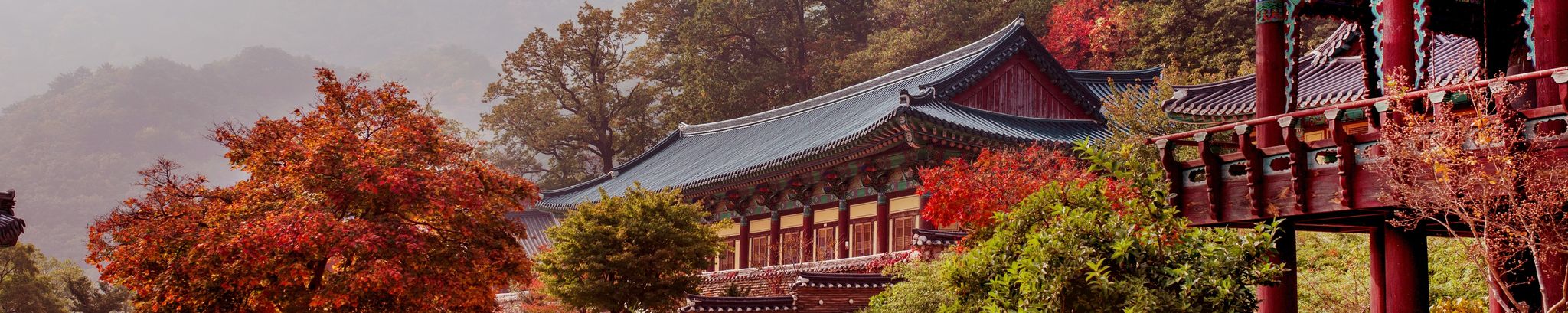 Cover for Bangdong Wang's Obituary