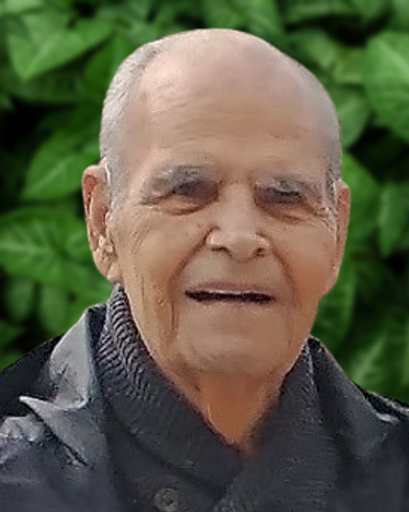 John R. Dovidio Profile Photo