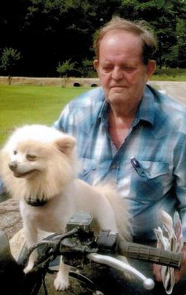 Johnny Wilcox Profile Photo