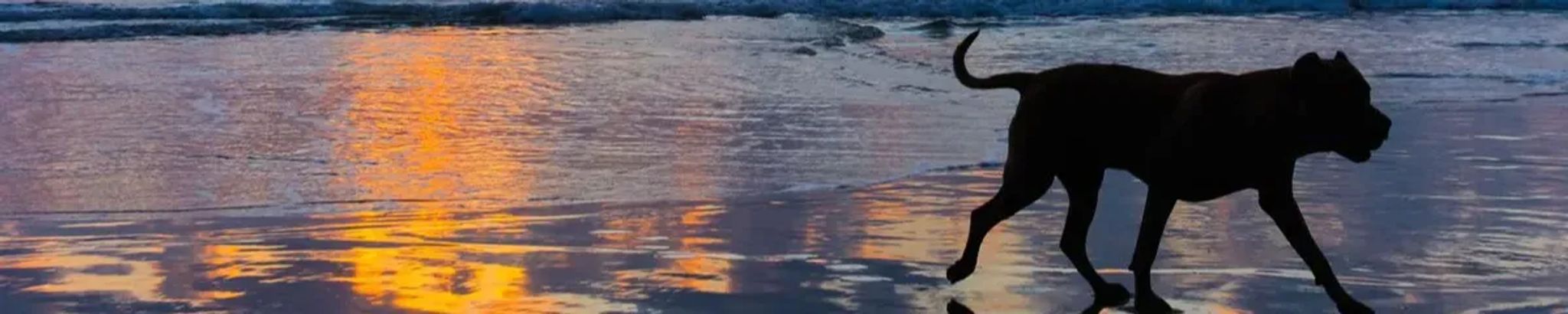 Cover for Kelly Hall's Obituary