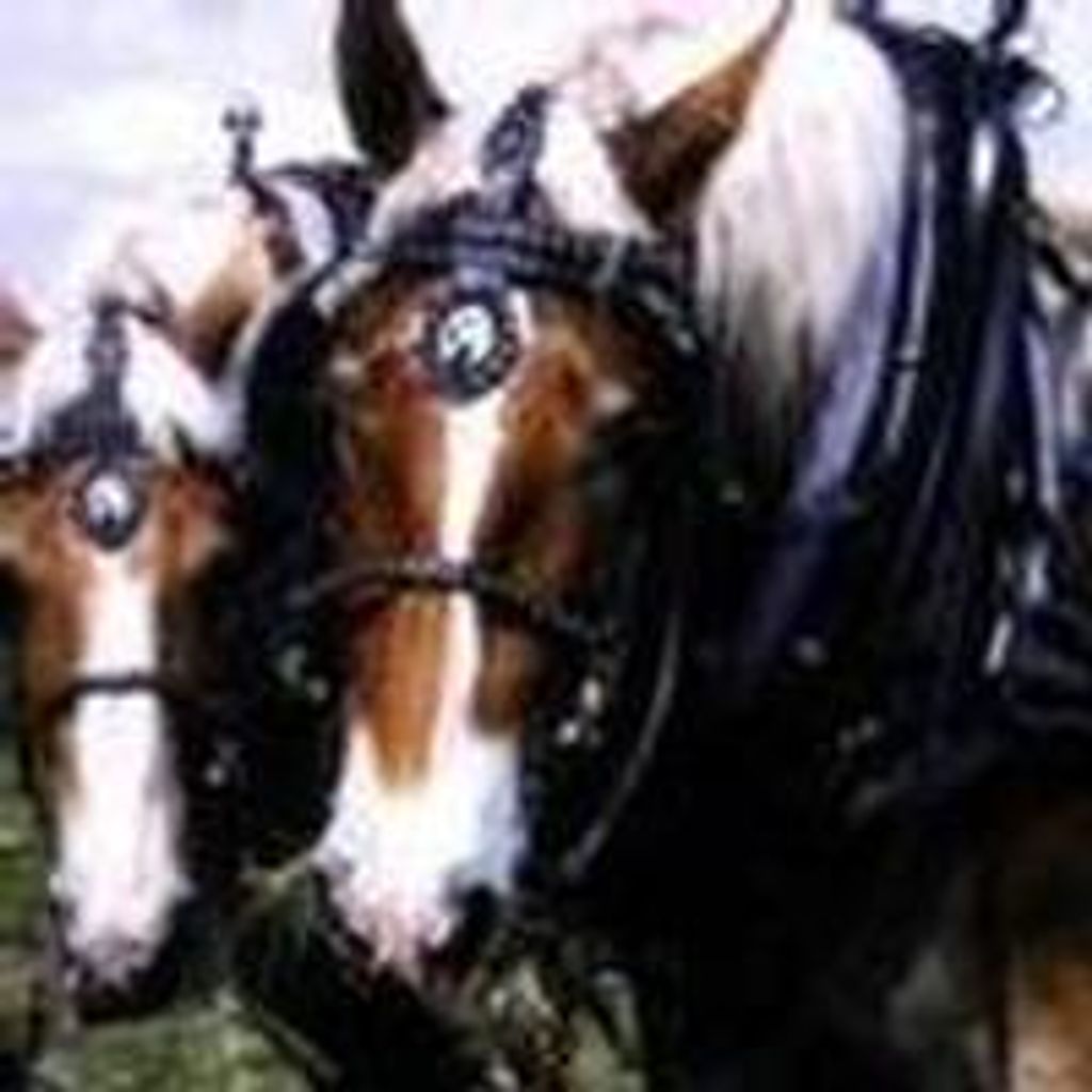 John  "Jack" Maynard