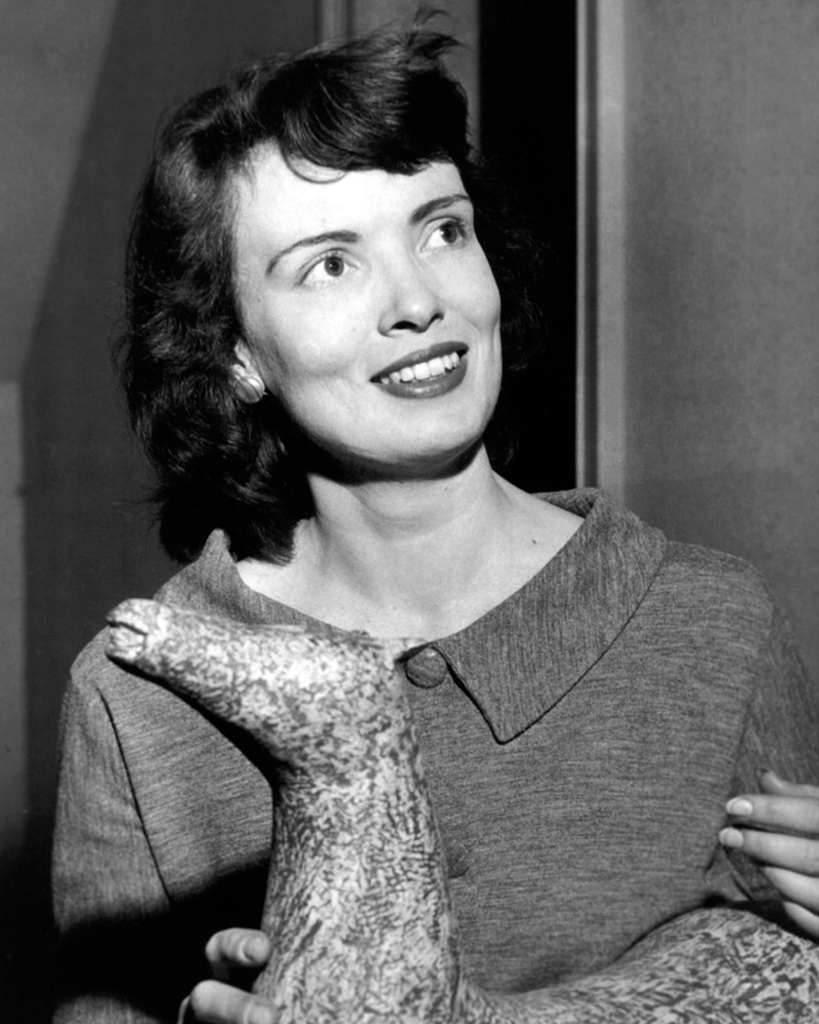 Virginia Street (Powell) Profile Photo