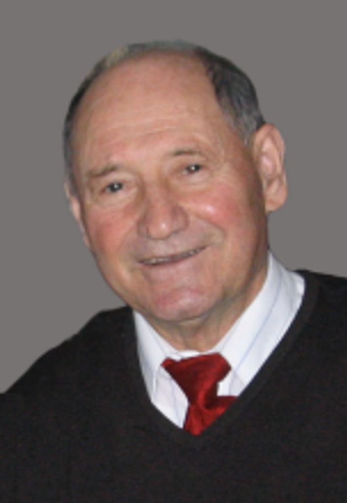 Nicola D'Addario Profile Photo