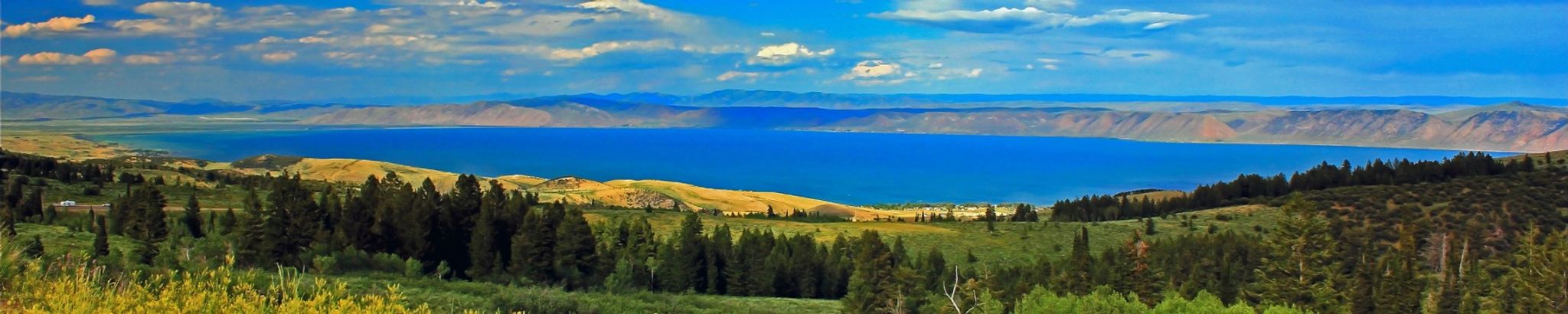 Cover for Dennis Bischoff Mason's Obituary