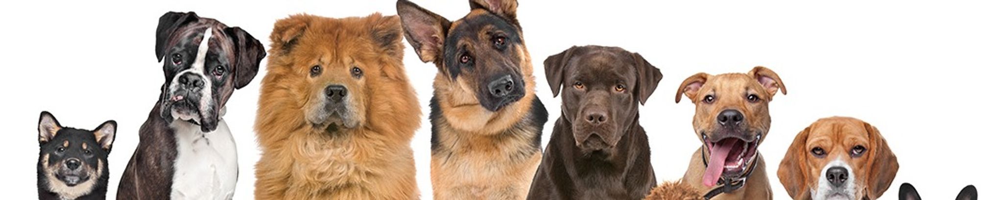 Cover for Norma Jean Hill's Obituary