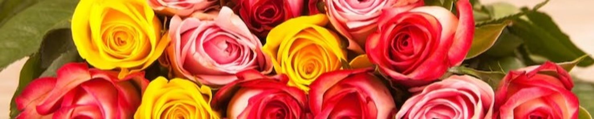 Cover photo for Elidia Torres's Obituary