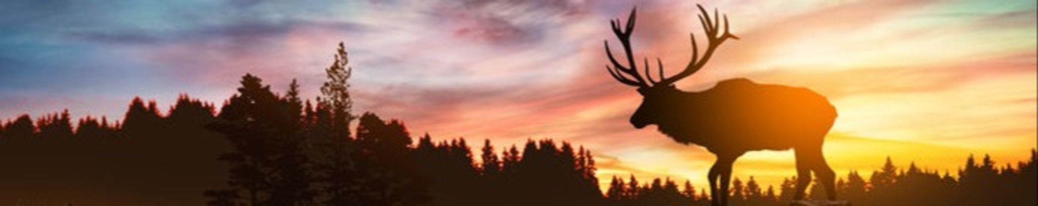 Cover photo for Robert Warren Willis's Obituary