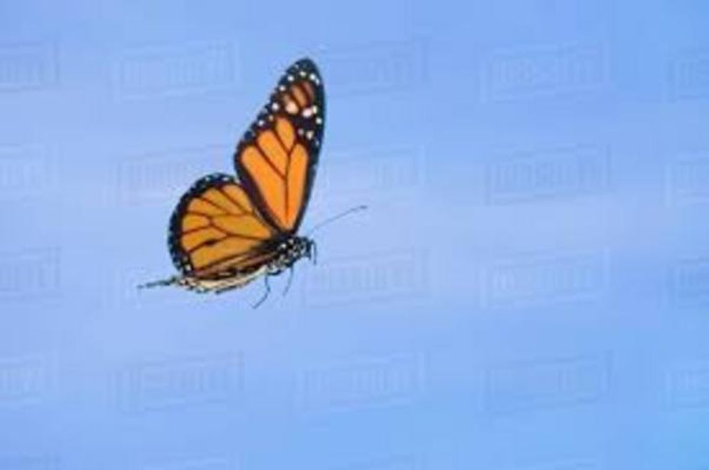 Barbara F. Goad Profile Photo