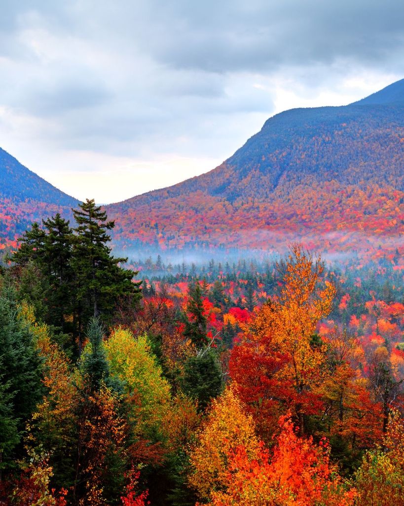 Charles Steven Lineberger Profile Photo