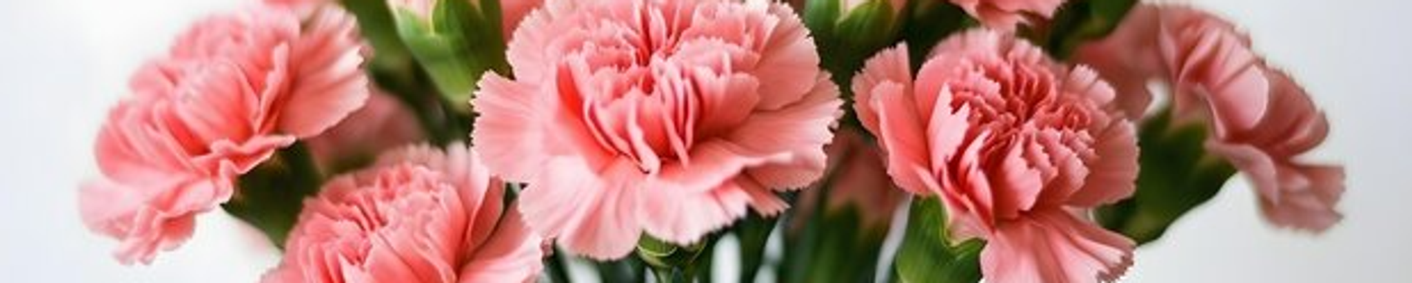 Cover for Ruth Elizabeth Day's Obituary