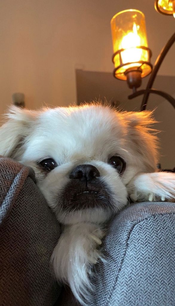 Kenji Profile Photo