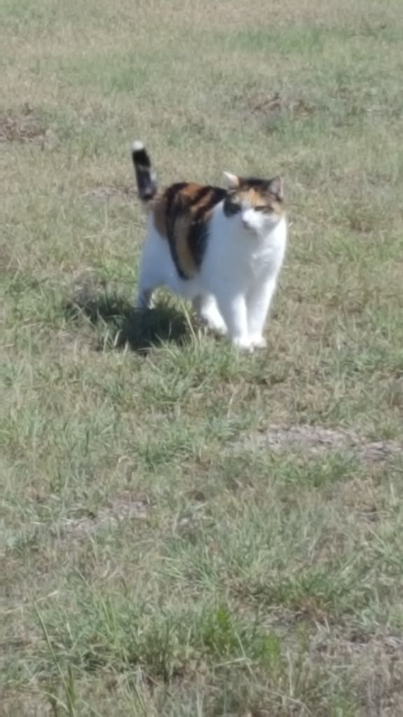 Kiki Profile Photo