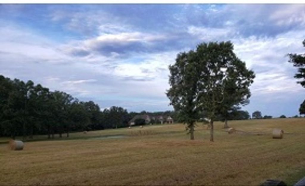 Margaret Meier Profile Photo