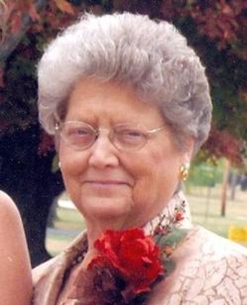 Sue Ann Mcdermit