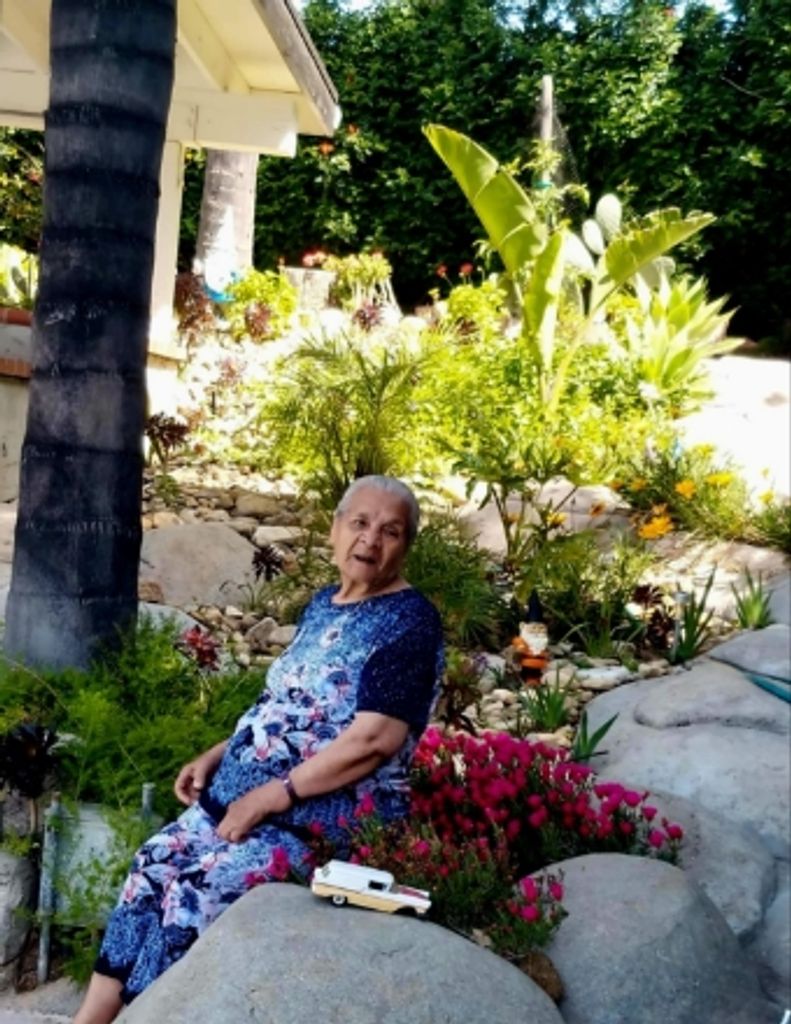 Nicolasa Muñoz Martinez Profile Photo