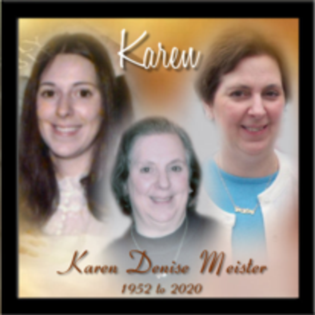 Karen Denise Meister