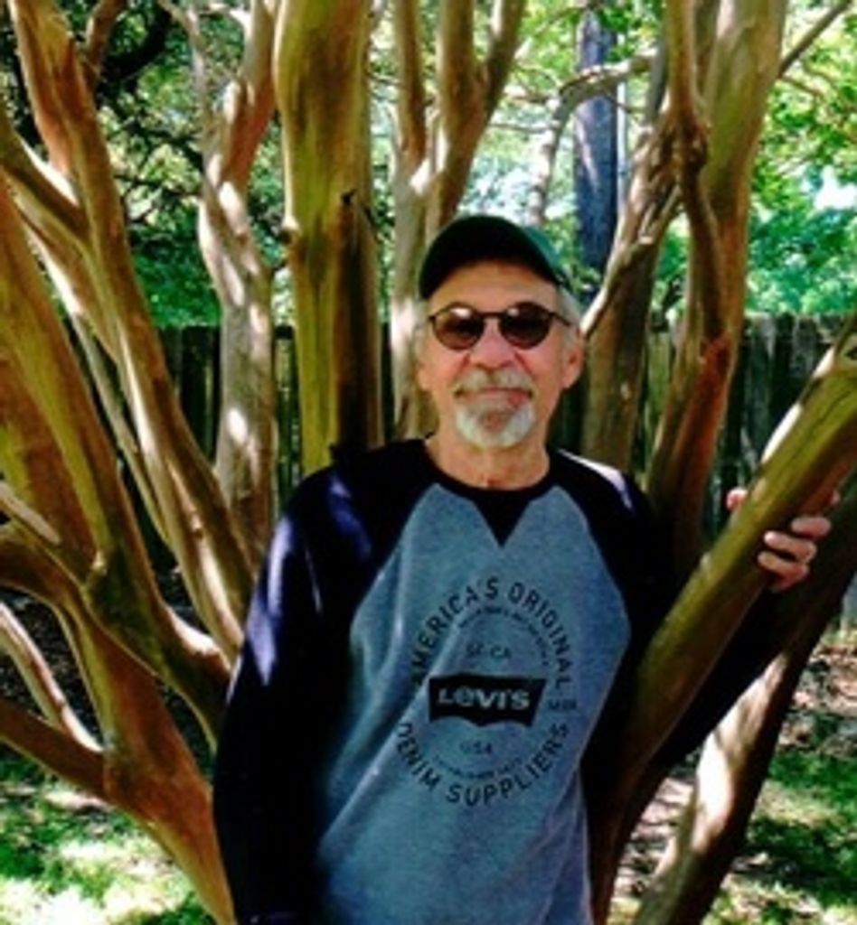 Steve Strause
