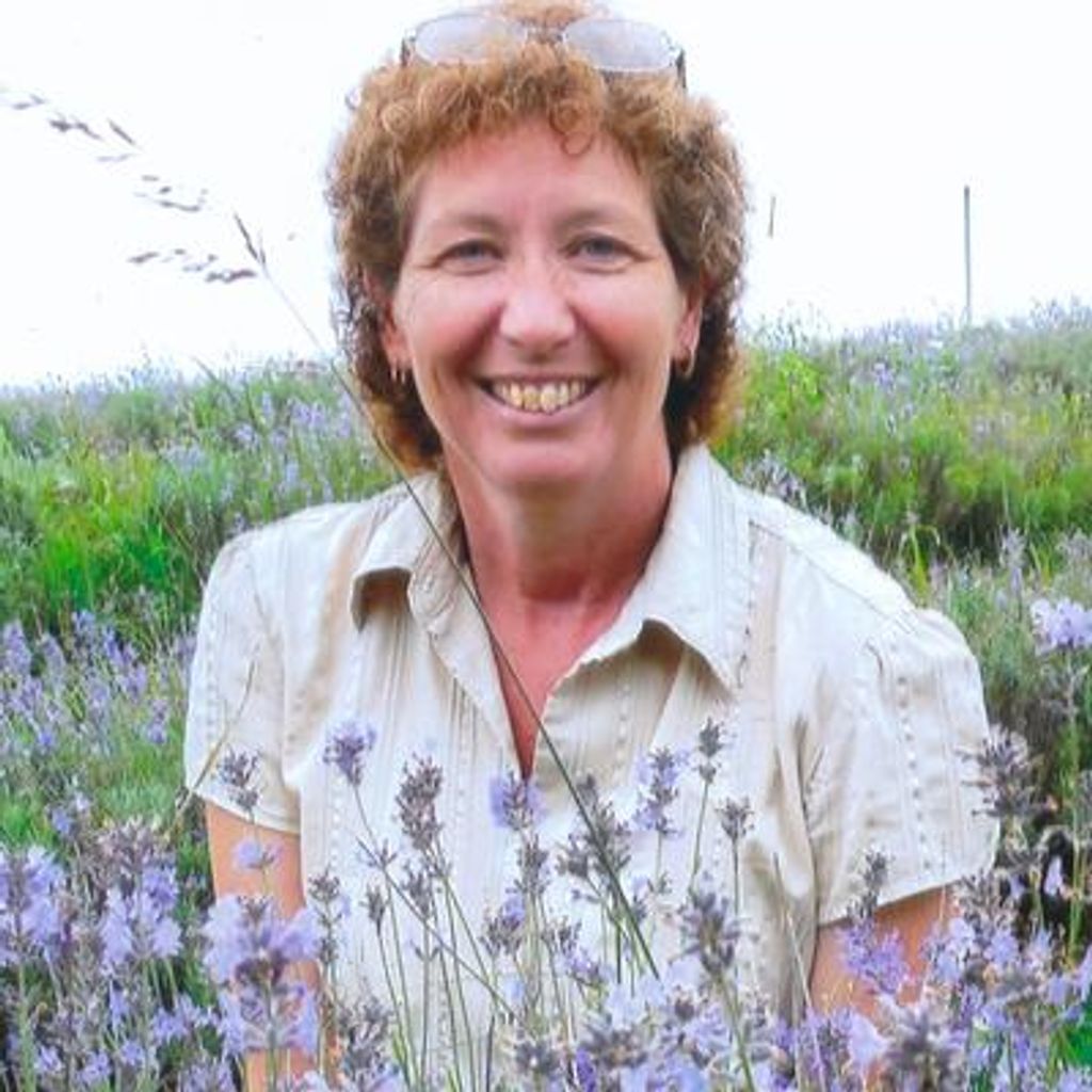 Marianne Lynn Dahr Profile Photo