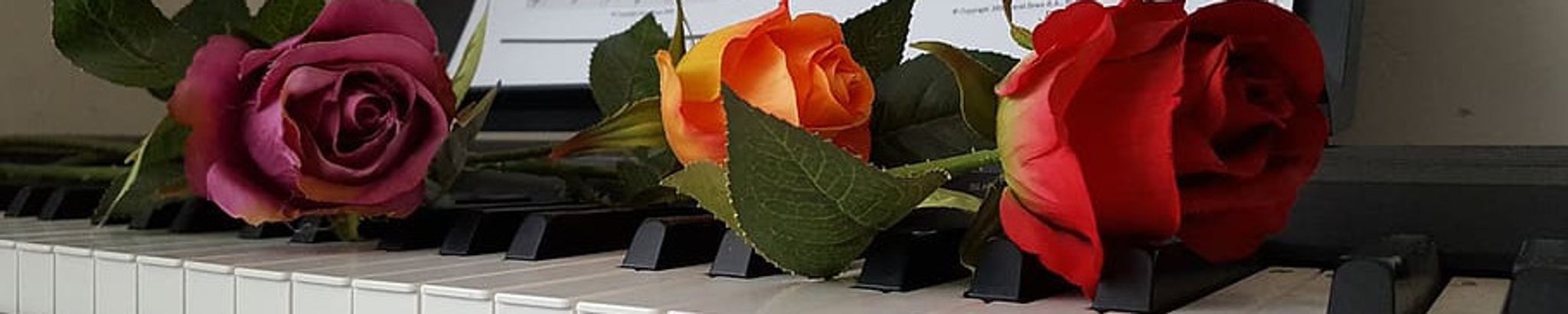Cover photo for Laure I. Bailey's Obituary