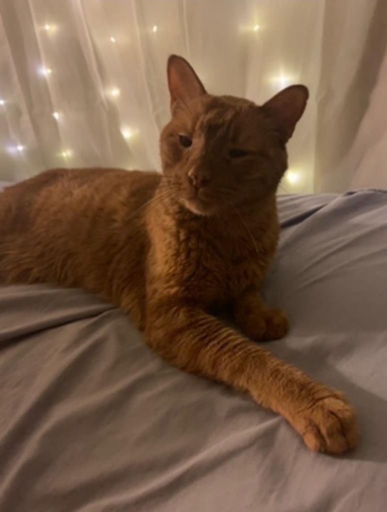Garfield Glenn Woolsey Profile Photo