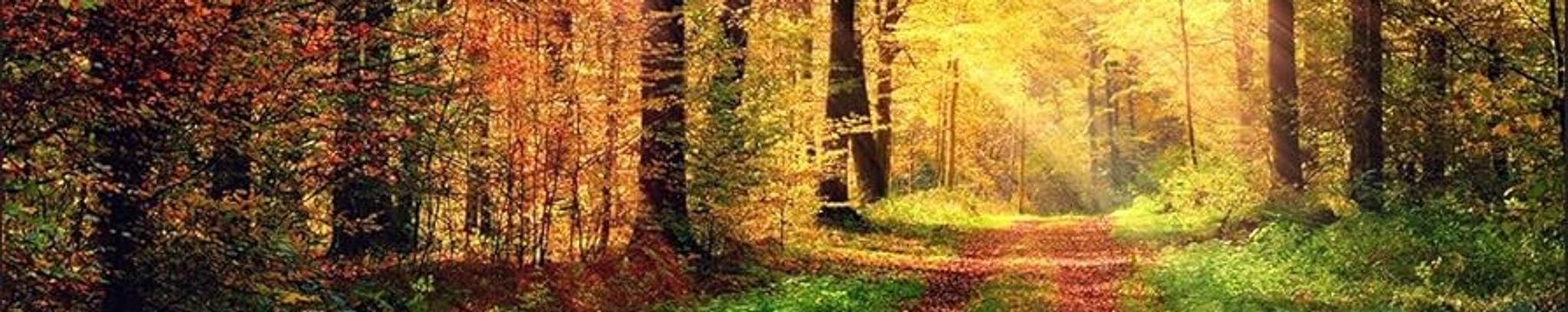 Cover for Thomas D. Stricklin's Obituary