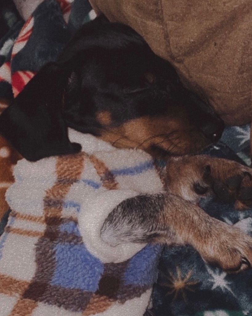 Remington (Remi) McBurnett