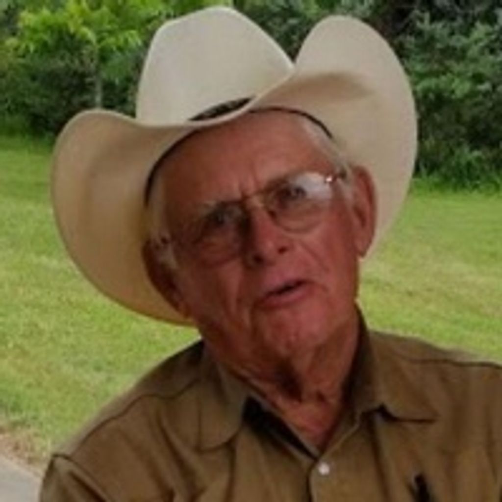 William Stein