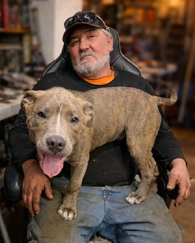 James Martin Finn Profile Photo