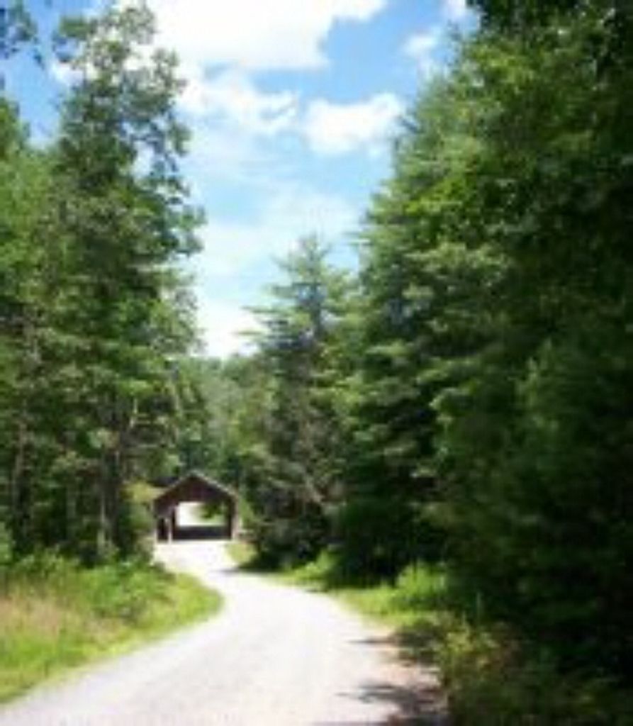 Luther Hooper Norton