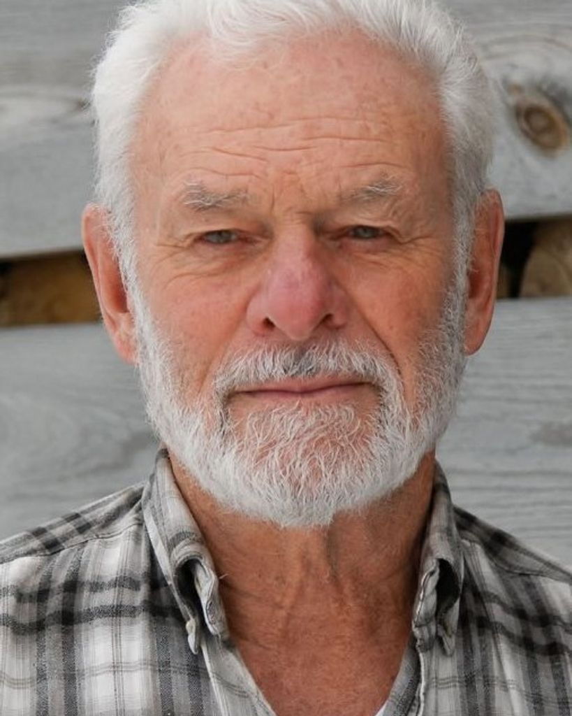 Harry P. Collins Jr.