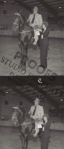 Walter N. Steffen photo gallery thumbnail 6 of 12