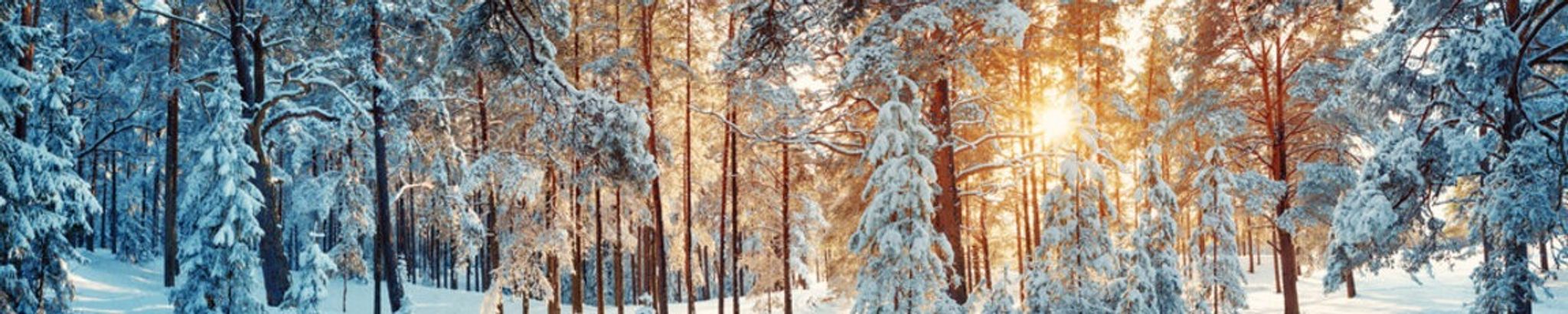 Cover for 2025 Holiday Remembrance Service's Obituary