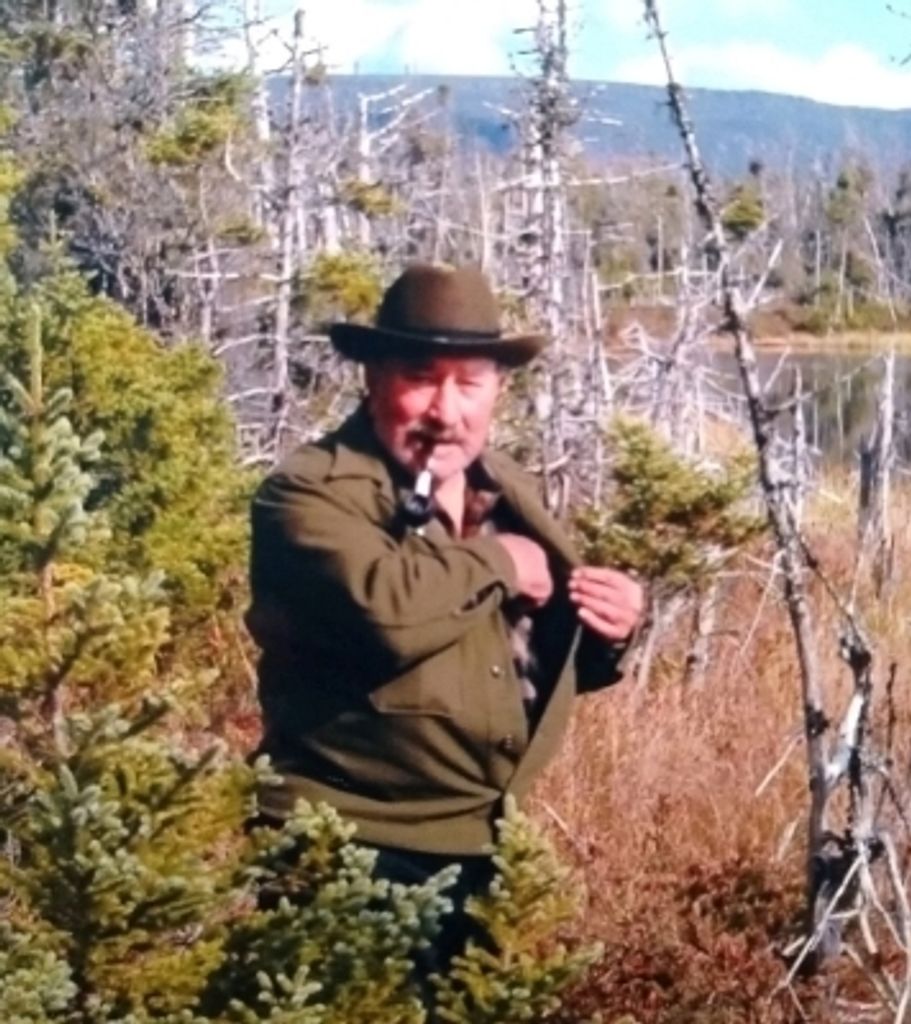 William Mincarelli Profile Photo