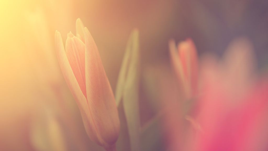 Chelsea Lynn Owens Profile Photo