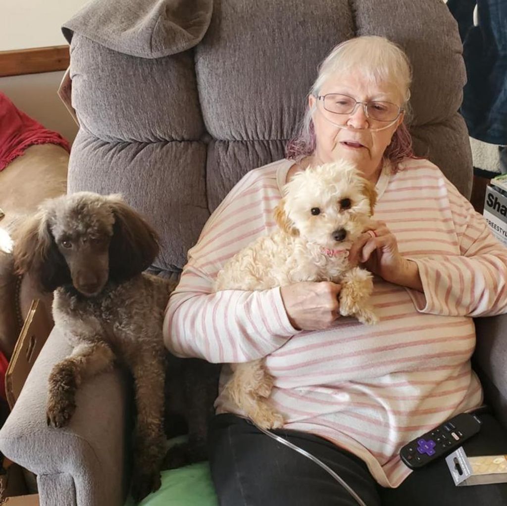 Ellen Margaret Verschueren