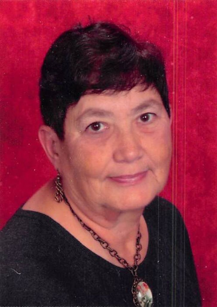 Frances Elaine (Cook)  Olmstead