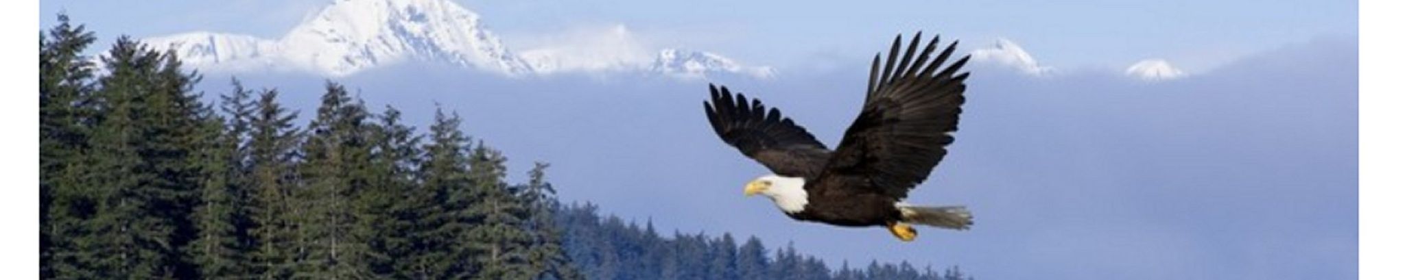 Cover photo for Paul Beck's Obituary