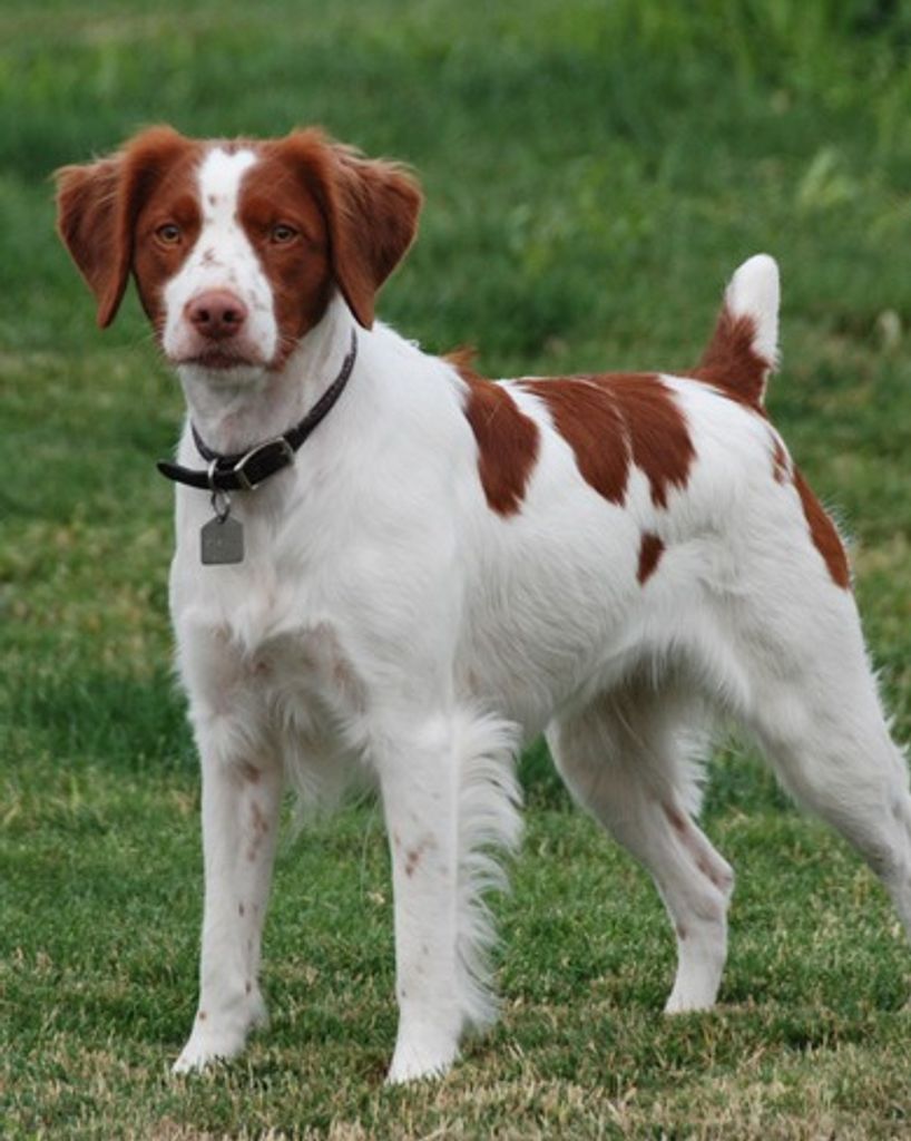 Roy Thomas Kelley Profile Photo