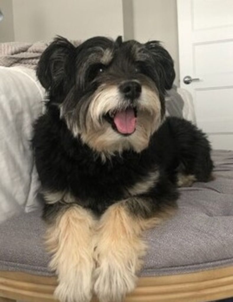 Rudy "Ru Ru" Ryan
